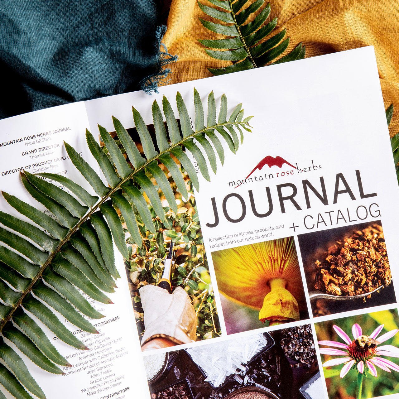 Free Journal/Catalog