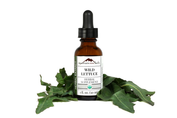 Wild Lettuce Extract